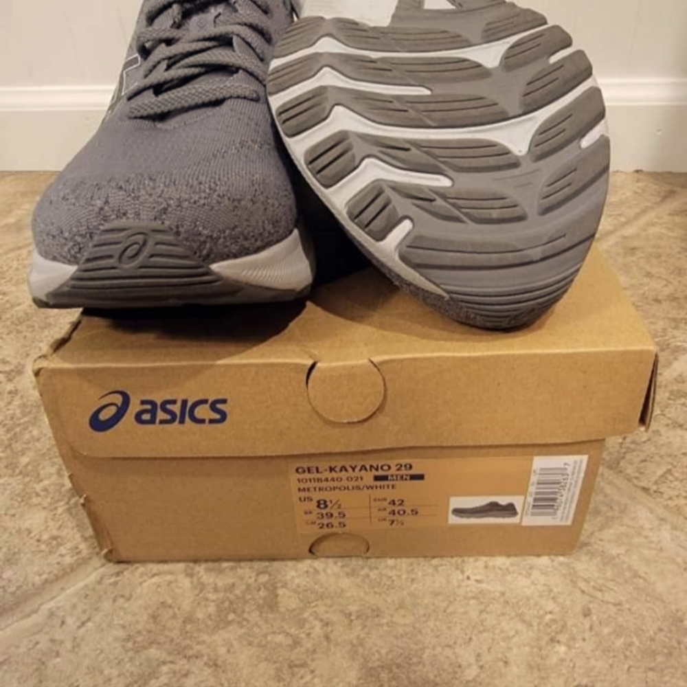 Men's Asics Gel-Kayano 29